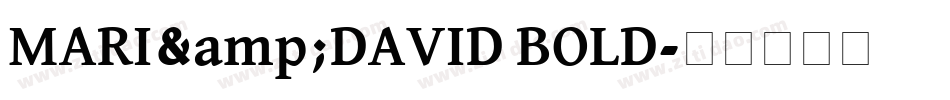 MARI&DAVID BOLD字体转换